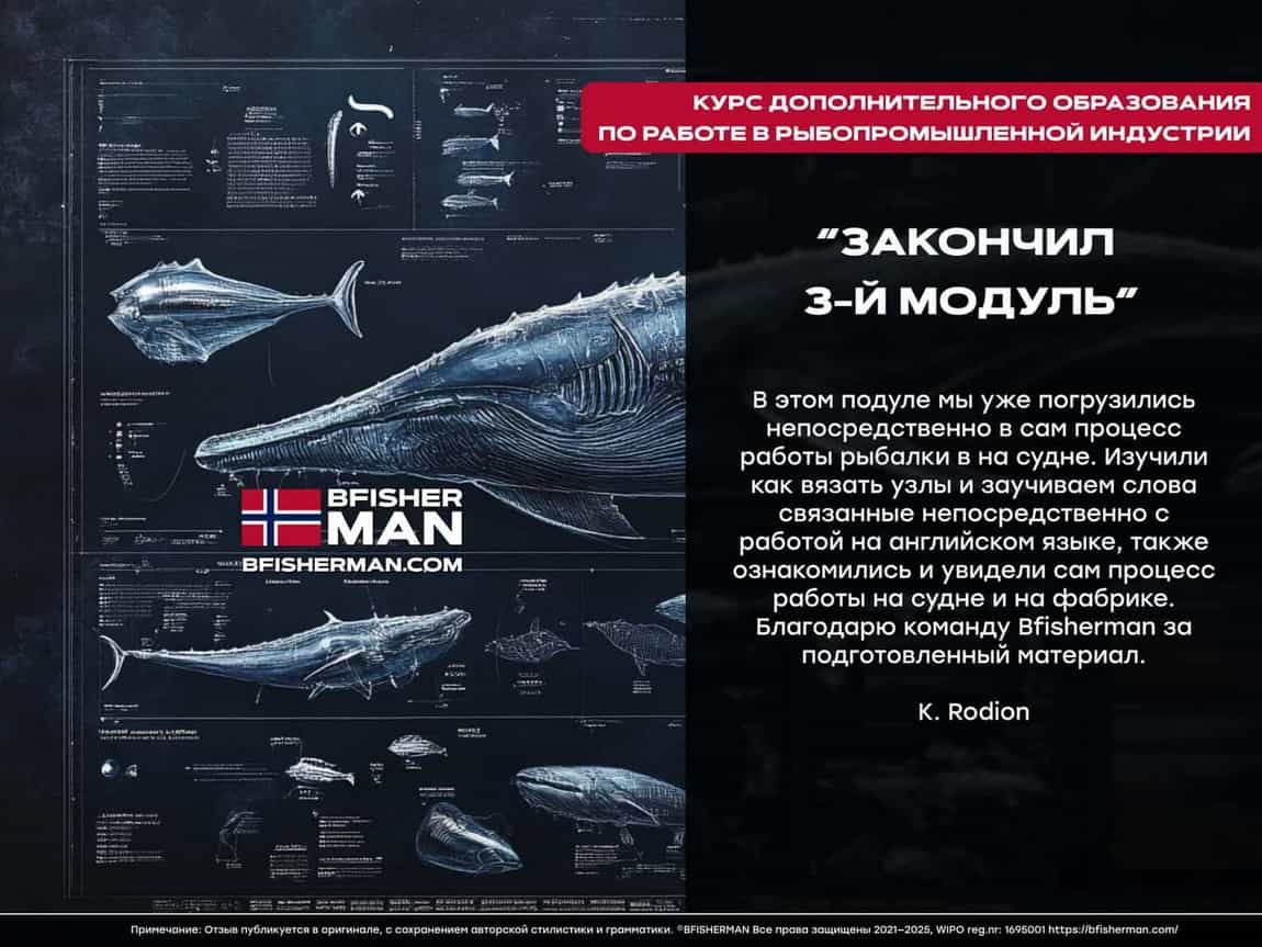 BFISHERMAN ОТЗЫВЫ BFISHERMAN ОТЗЫВЫ