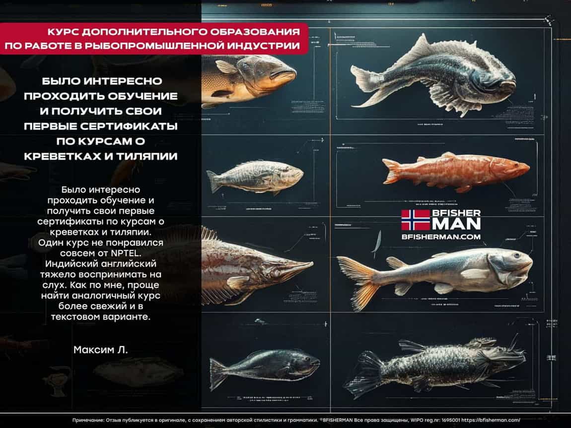 BFISHERMAN ОТЗЫВЫ BFISHERMAN ОТЗЫВЫ